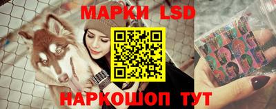 ешки Краснодар