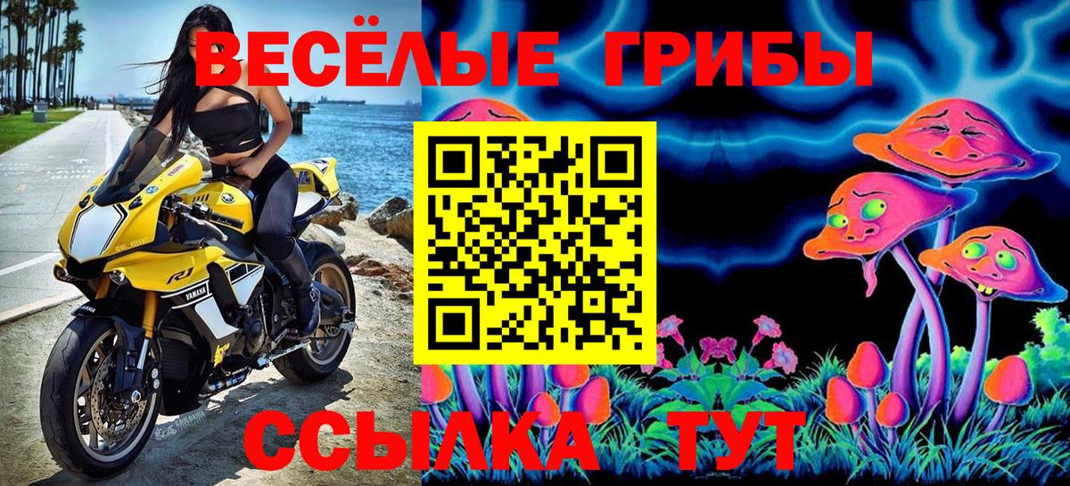 Псилоцибиновые грибы Psilocybe  Вход с VPN  Каспийск  Галлюциногенные грибы ЛСД 